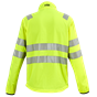 400300_Rel 4-400300_Paclite_Back.png